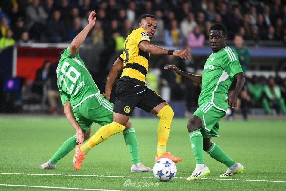 赛奠定了基 赛奠定了基